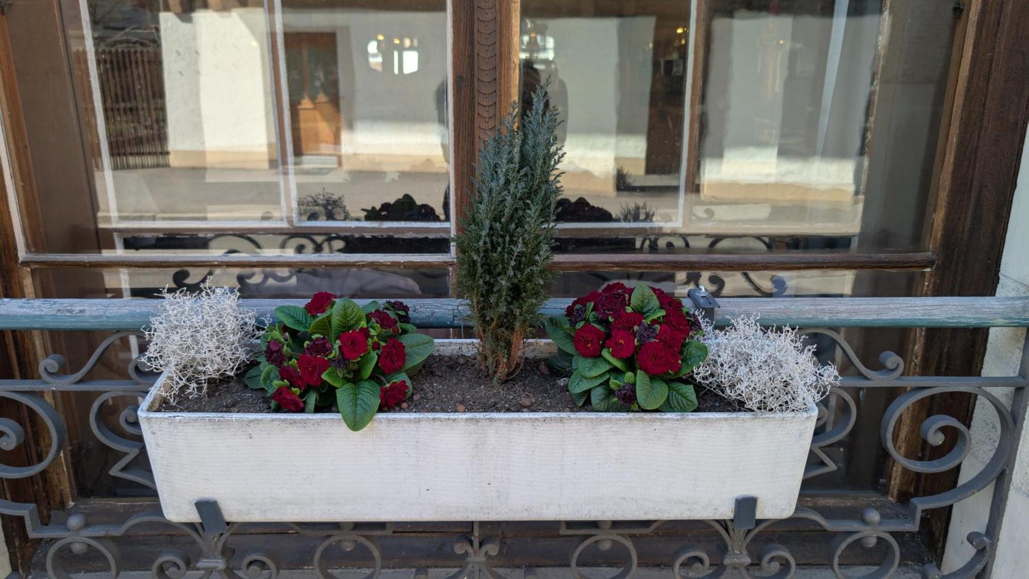Hotel Harder Minerva Ιντερλάκεν Εξωτερικό φωτογραφία